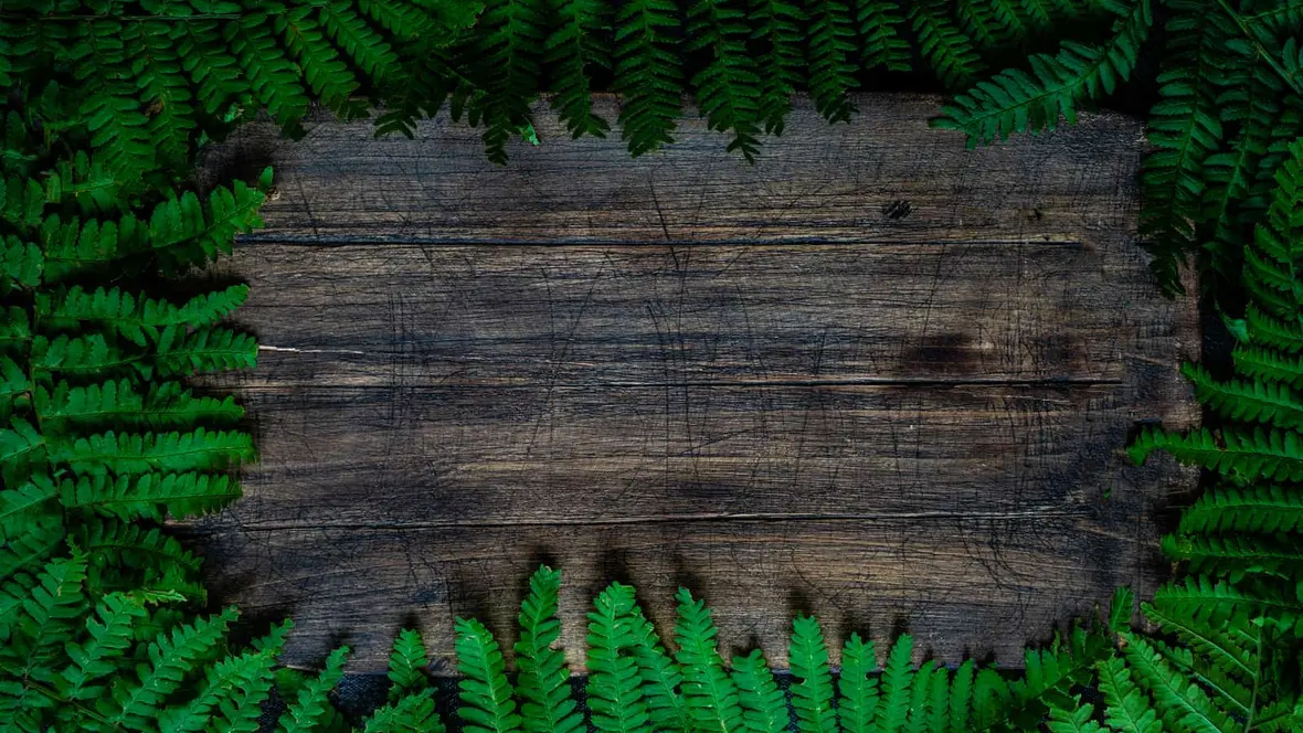 Comment réaliser un tableau végétal ?