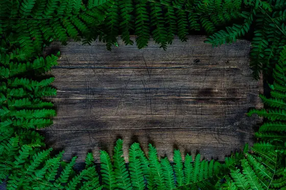 Comment réaliser un tableau végétal ?