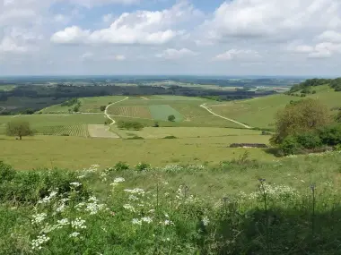 Arbois – Pupillin : vignobles et Ermitage