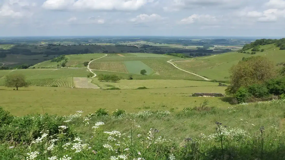 Arbois – Pupillin : vignobles et Ermitage