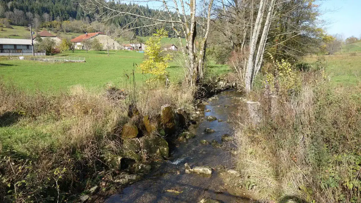 Boucle des Nans : Sources de l'Angillon et Grotte aux Ours