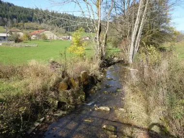 Boucle des Nans : Sources de l'Angillon et Grotte aux Ours