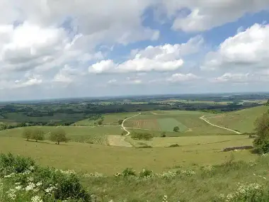 Circuit des Vignes – Arbois et Montigny-lès-Arsures