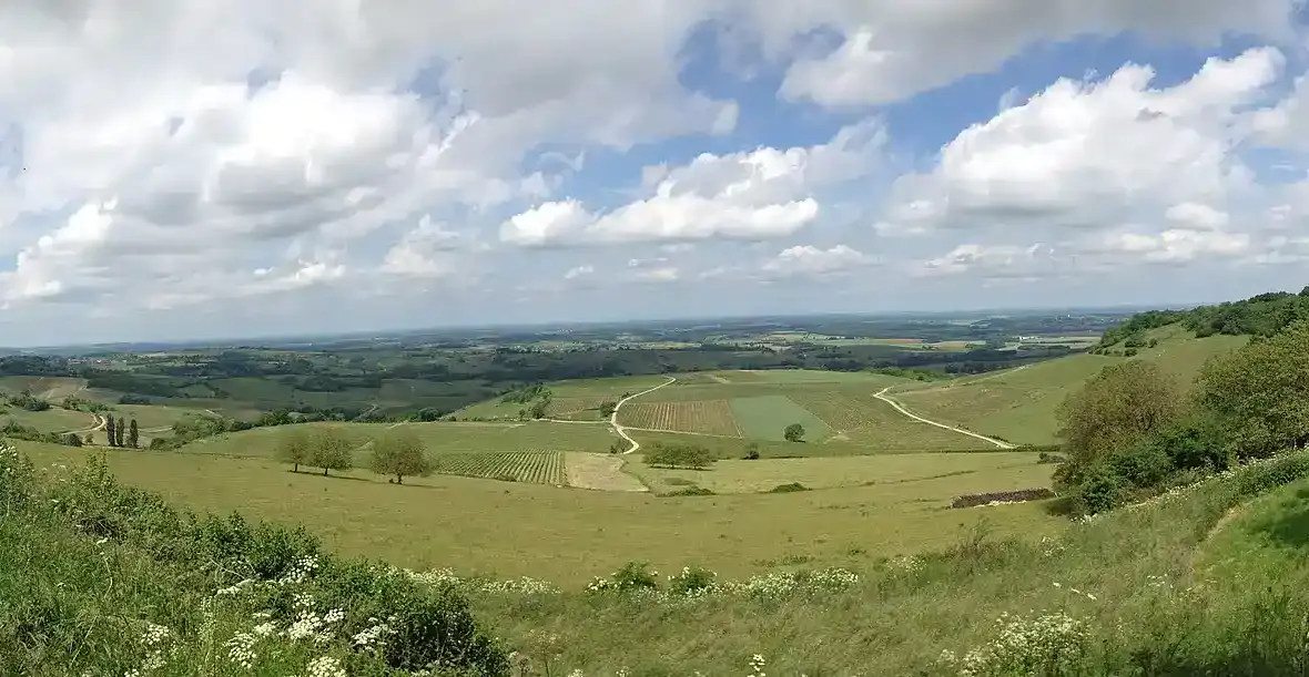 Circuit des Vignes – Arbois et Montigny-lès-Arsures