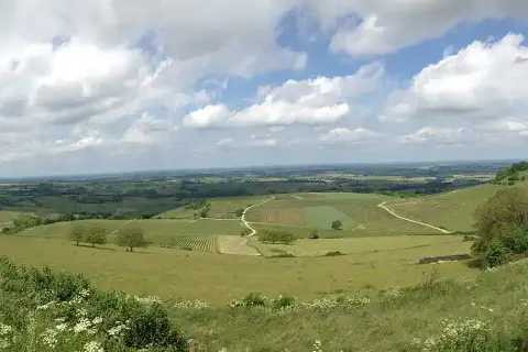 Circuit des Vignes – Arbois et Montigny-lès-Arsures