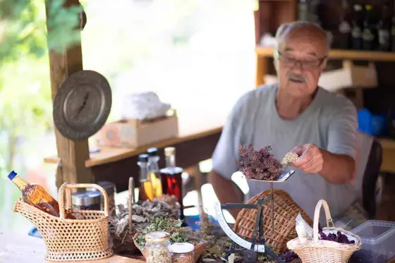 Le moyen le plus facile pour devenir herboriste