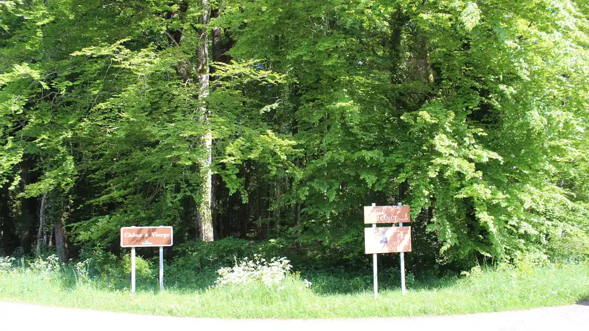 Forêt de Chaux – Grande Boucle