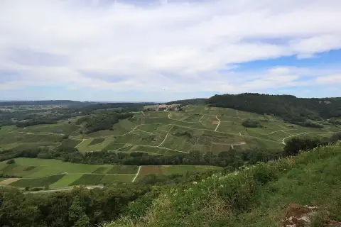 Vignoble du Château-Chalon depuis Menétru-le-Vignoble