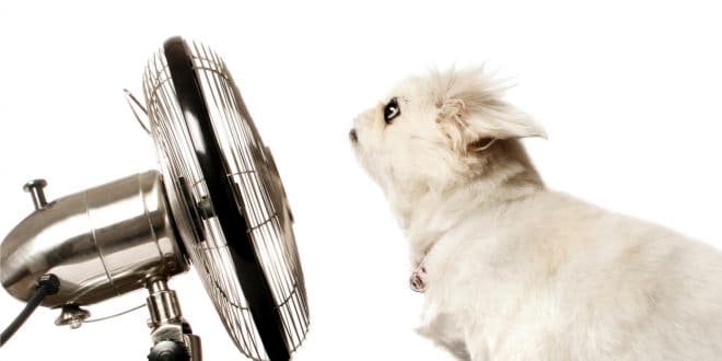 Conseils pour rafraîchir une pièce sans climatisation