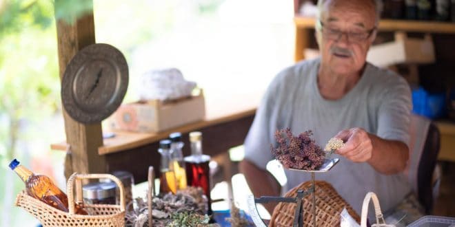 Le moyen le plus facile pour devenir herboriste