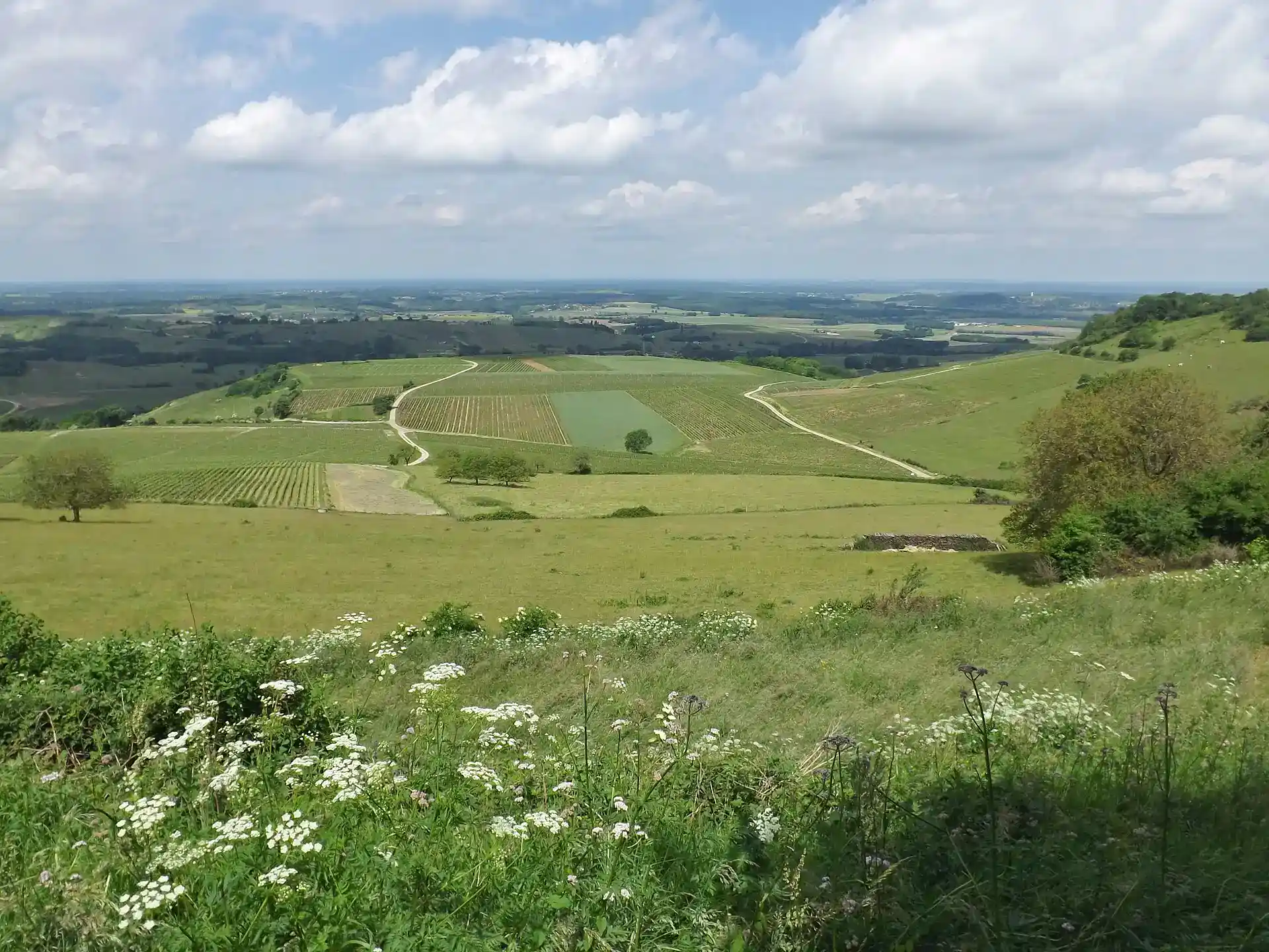 Arbois – Pupillin : vignobles et Ermitage