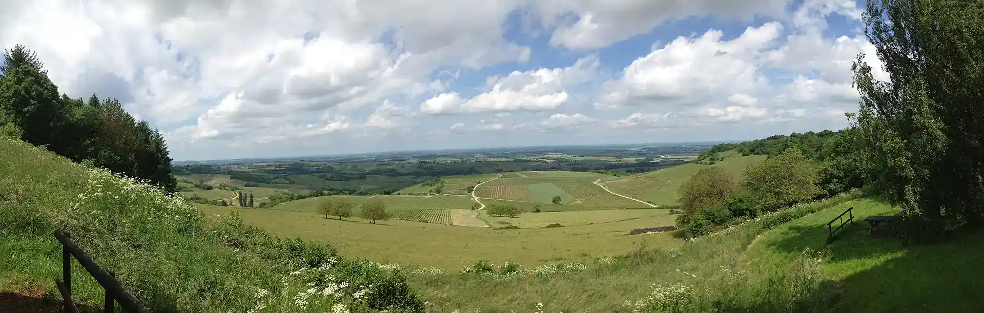 Circuit des Vignes – Arbois et Montigny-lès-Arsures