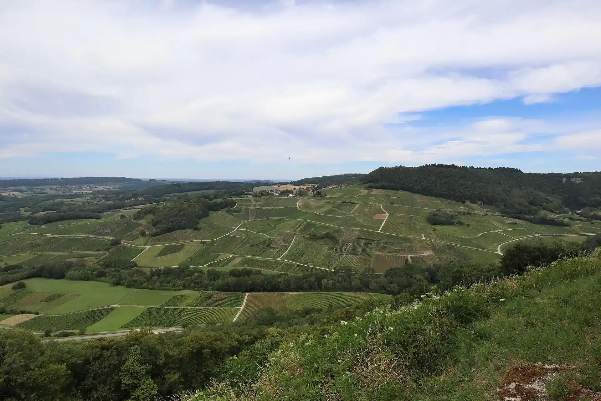 Vignoble du Château-Chalon depuis Menétru-le-Vignoble